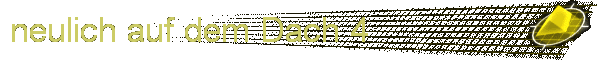 neulich auf dem Dach 4
